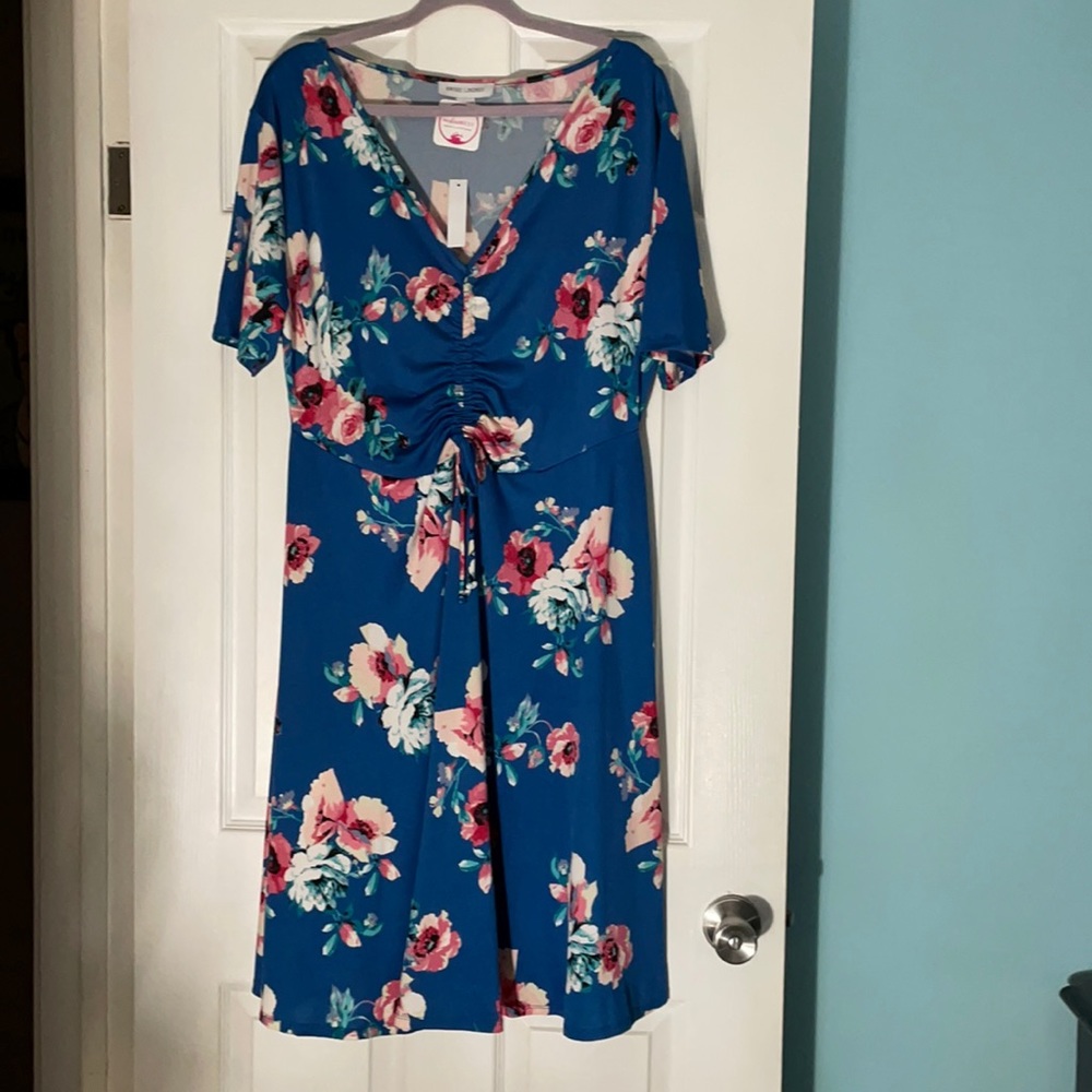 Sweet Lindsey dress NWT